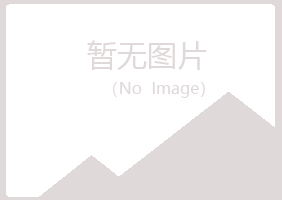 阳江冰夏采矿有限公司